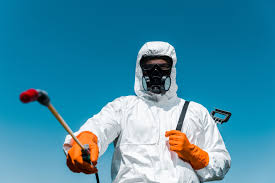 Best Lawn Pest Control  in Kiryas Joel, NY